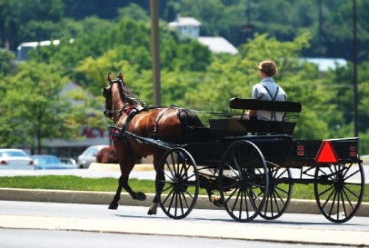 Excursión de 2 días por Washington DC, Filadelfia y  el territorio Amish - Saliendo de Nueva York