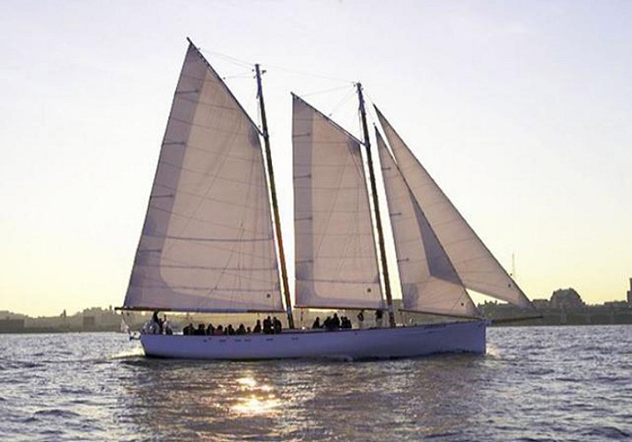 Sailboat Cruise in New York by Night