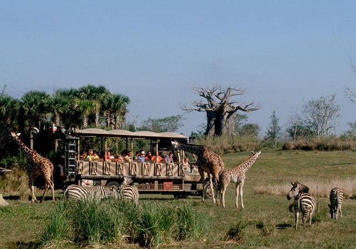 Tickets for Disney’s Animal Kingdom – Walt Disney World Orlando