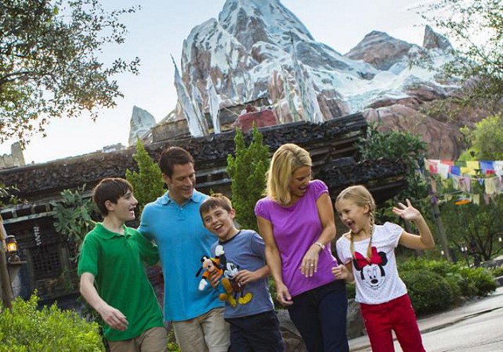 Entrada para el parque “Disney’s Animal Kingdom” - Walt Disney World Orlando