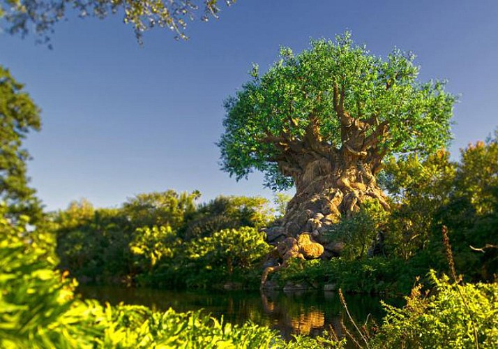 Billet Disney’s Animal Kingdom – Walt Disney World Orlando - Coupe-file à l'entrée