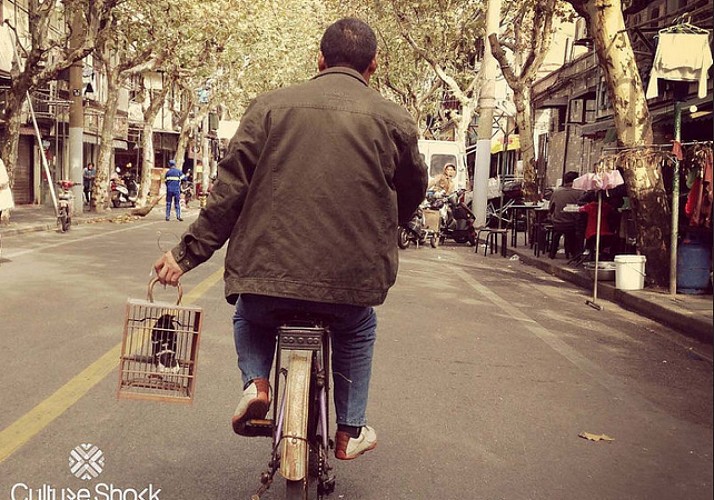 Découverte de Shanghai à vélo le matin