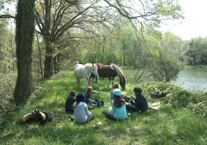 Horse Riding & Picnic in the Brocéliade Forest