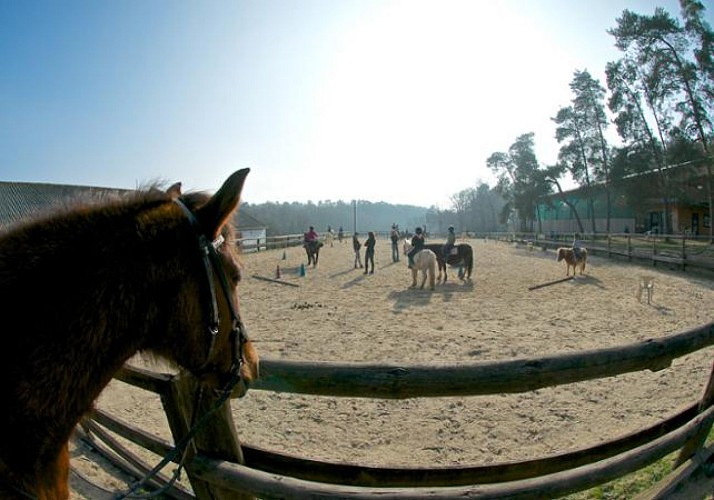 Horse Riding & Picnic in the Brocéliade Forest