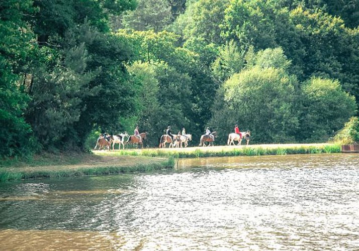 Randonnée pique-nique à cheval en forêt de Brocéliande