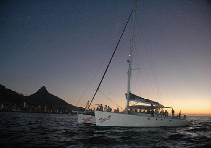 Catamaran Cruise along the coast of Cape Town (Day Time or Sunset)
