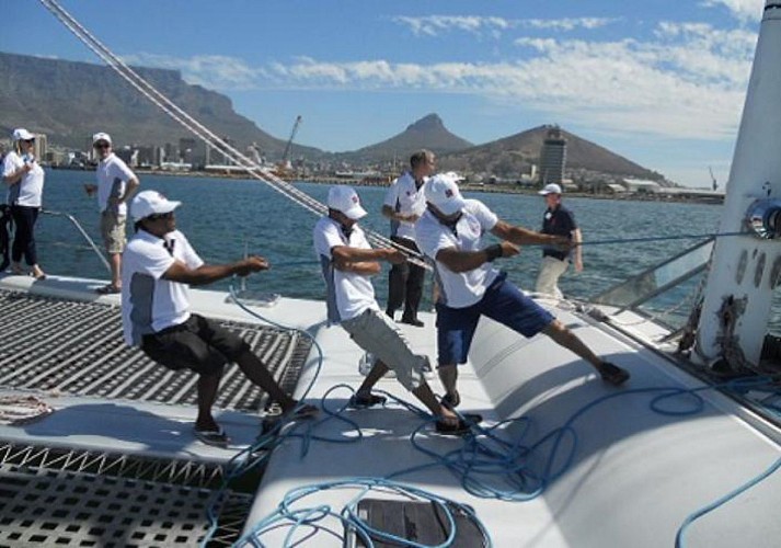 Crucero en catamarán a lo largo de Cape Town – Durante el día o la puesta de sol