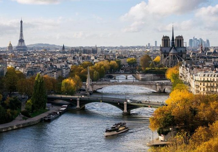 Croisière guidée des incontournables de Paris depuis la Seine