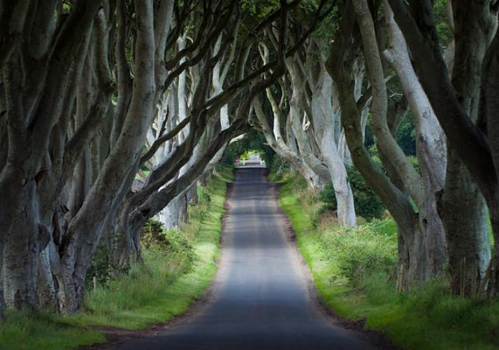 Excursión en La Calzada del Gigante y los lugares de rodaje de Juego de tronos (Irlanda del norte) – Salida de Dublín