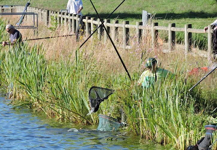 Fishing site - Étang Philippe
