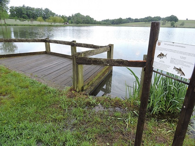 Site de pêche - Étang Philippe