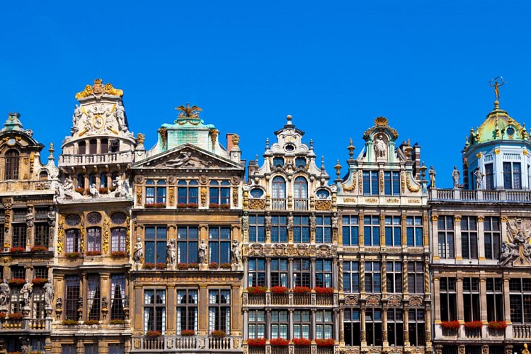 Grand tour of Brussels by bus