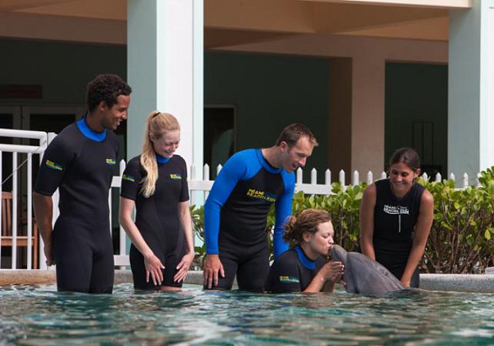 Begegnung mit Delfinen + Eintrittsticket für das Miami Seaquarium