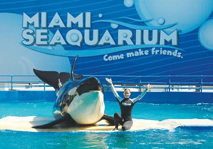 Dolphin Encounter + Admission to Miami Seaquarium