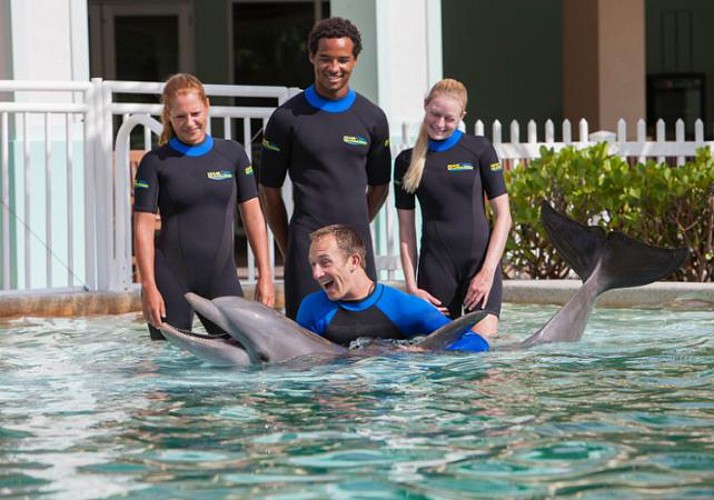 Encuentro con los delfines + entrada al «Miami Seaquarium»