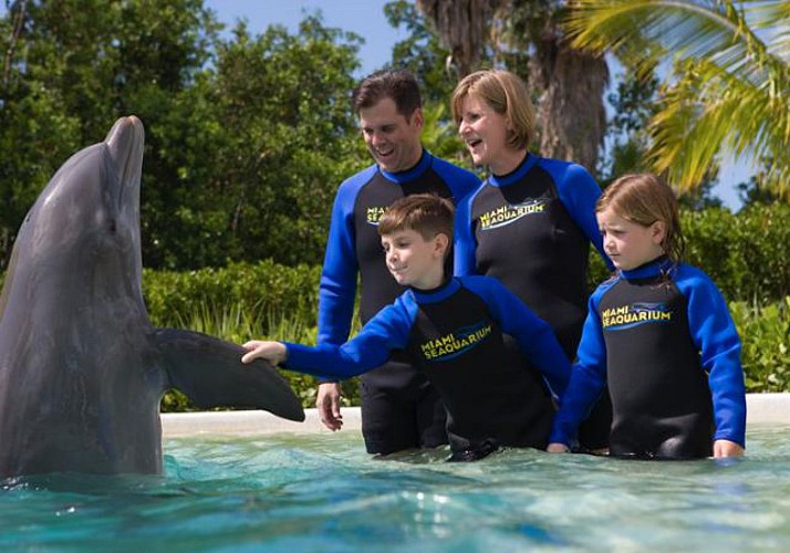 L'incontro con i delfini + biglietto d'ingresso al Miami Seaquarium