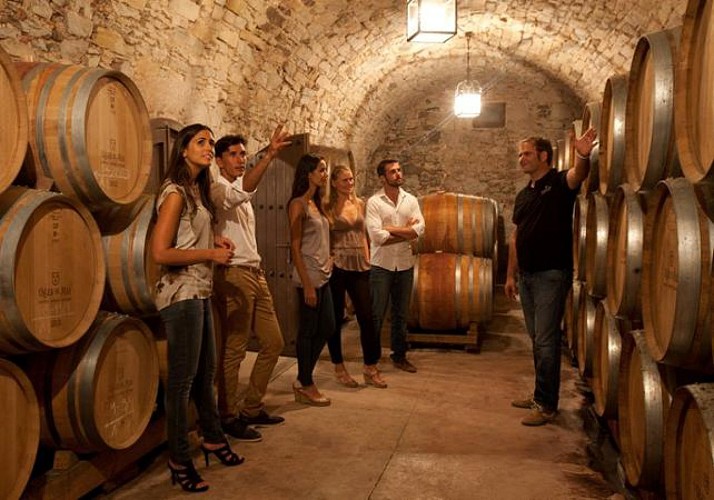 Excursión en Montserrat, visita a un viñedo y  cata de vinos- día completo con un grupo reducido