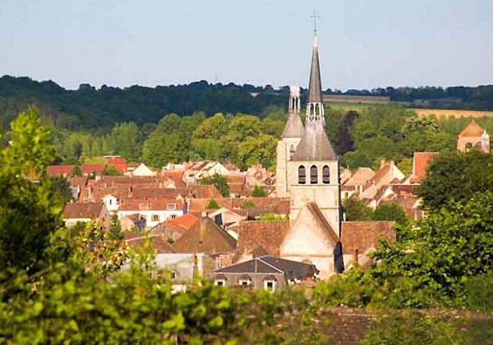 Visit the Medieval Town of Provins – Transport from Paris