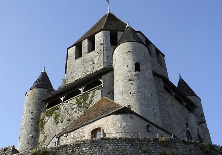 Visita a la cité medieval de Provins, salida desde Paris