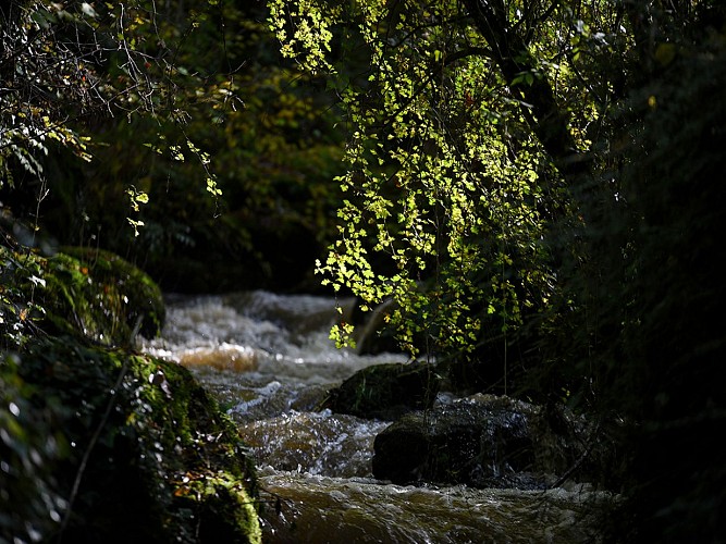 vue-sur-des-petites-cascades©olivier-gherrak