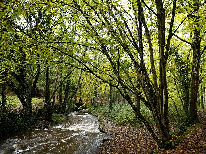 berge-des-cascades-du-Pont-ès-retours©olivier-gherrak