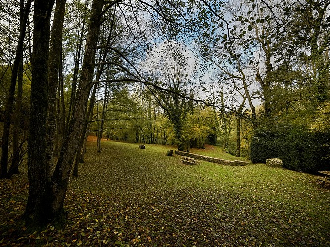 Aire-de-pique-nique-olivier-gherrak