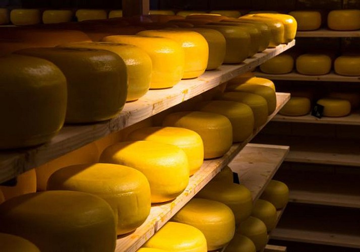 Excursion aux villages hollandais typiques de Zaanse Schans, Volendam et Marken depuis Amsterdam