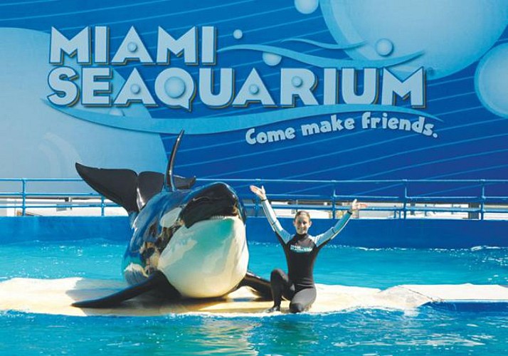 Nage avec les dauphins + billet d’entrée au Miami Seaquarium