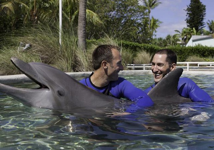 Nage avec les dauphins + billet d’entrée au Miami Seaquarium