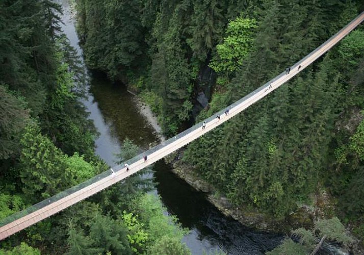 Capilano Suspension Bridge Crossing and Walk amongst the Tree Tops