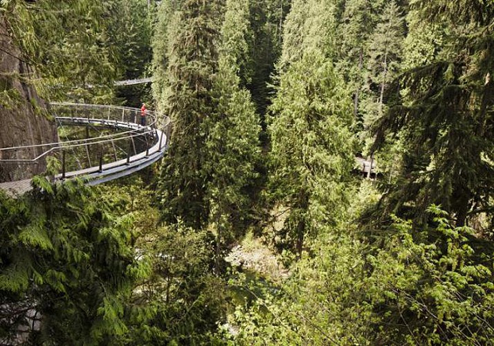 Capilano Suspension Bridge Crossing and Walk amongst the Tree Tops