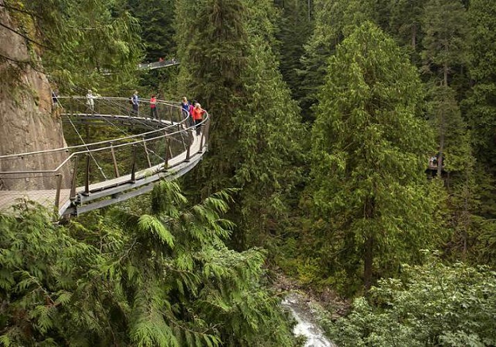 Capilano Suspension Bridge Crossing and Walk amongst the Tree Tops