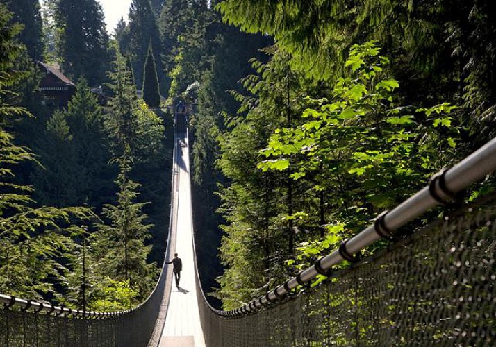 Capilano Suspension Bridge Crossing and Walk amongst the Tree Tops