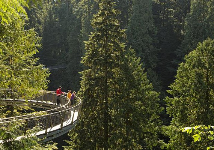 Capilano Suspension Bridge Crossing and Walk amongst the Tree Tops