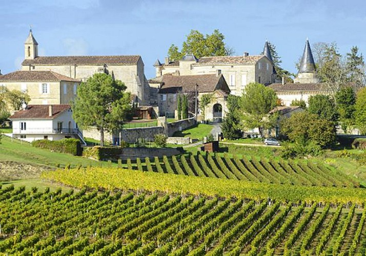Explore the Saint-Emilion vineyard: visit châteaux and wine tasting