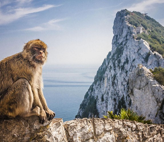 Excursion guidée à Gibraltar - au départ de la Costa del Sol