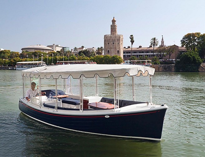 Electric Boat Cruise on the Guadalquivir in Seville – Drink optional