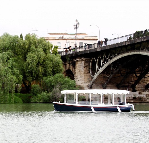 Electric Boat Cruise on the Guadalquivir in Seville – Drink optional