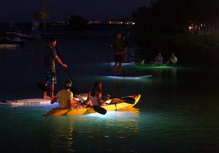 Guided Night Tour by Kayak or Standup Paddleboard off the Coast of Vancouver