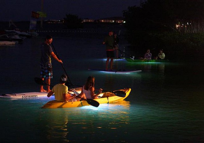 Tour guidé de nuit en kayak ou en stand up paddle au large de Vancouver