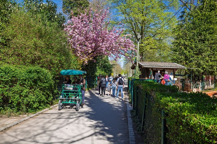 Parc de la Pépinière