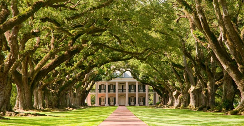 Guided tour of the Oak Alley Plantation – Transport from New Orleans included