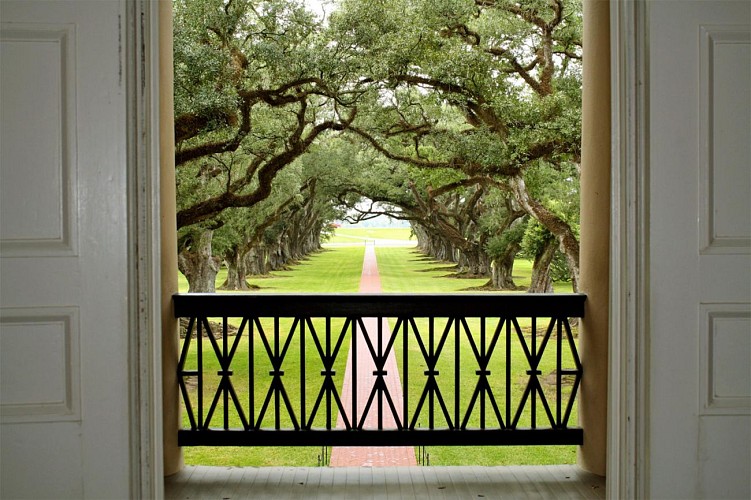 Guided tour of the Oak Alley Plantation – Transport from New Orleans included