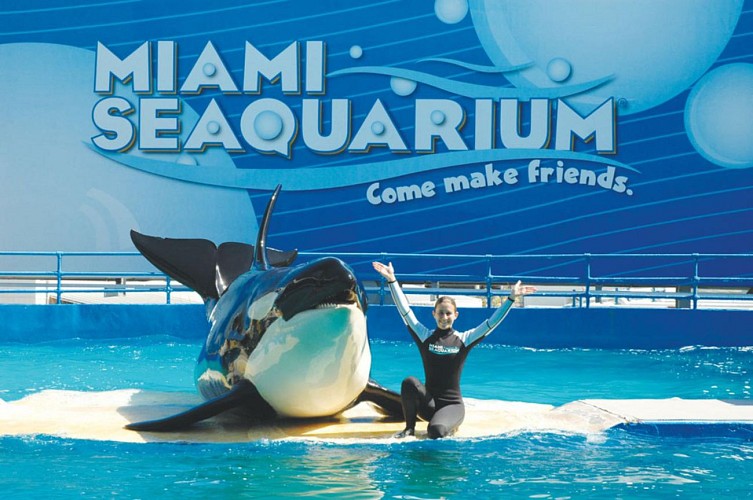 Skip-the-Line Tickets to Miami Seaquarium