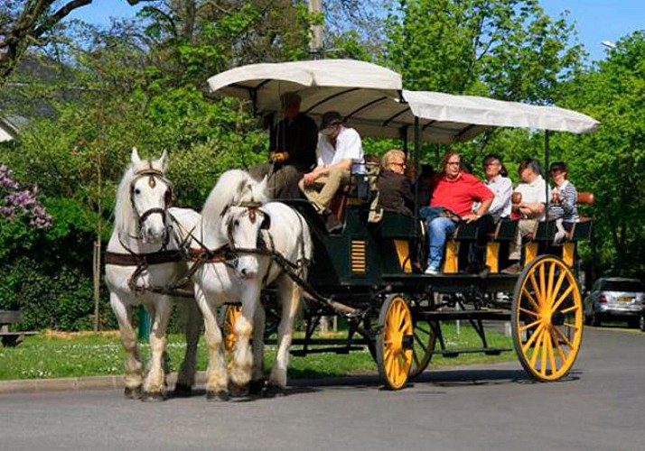 Horse-drawn Carriage Ride of Versailles