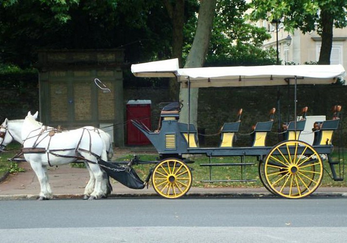Horse-drawn Carriage Ride of Versailles