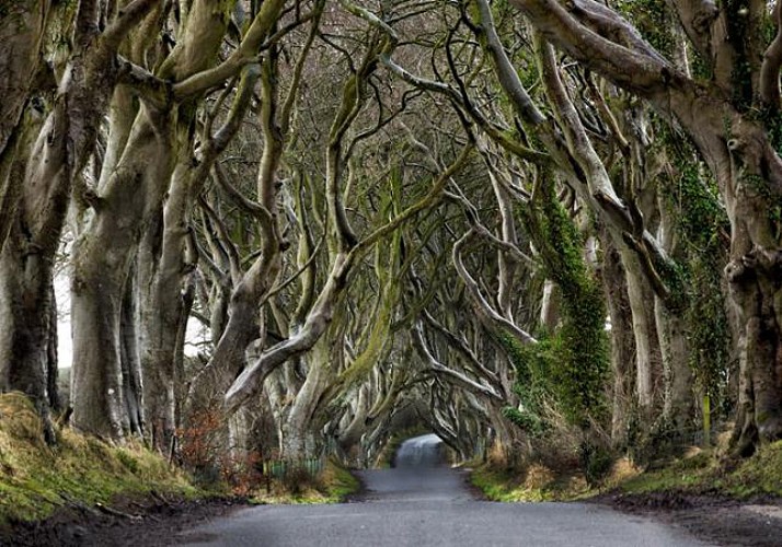 Excursion en train de 2 jours en Irlande du Nord : visite de Belfast et des lieux de tournage de Game of Thrones - au départ de Dublin