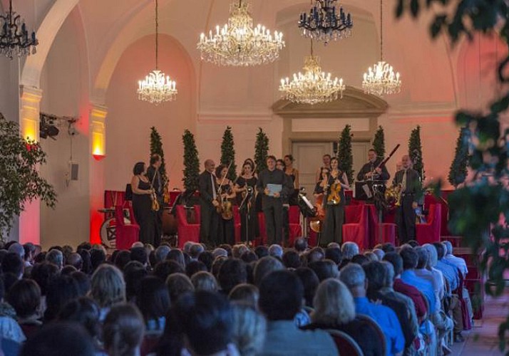 Bootsfahrt auf der Donau, romantisches Abendessen und Konzert im Schloss Schönbrunn