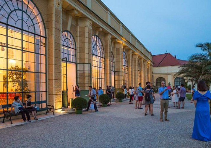 Bootsfahrt auf der Donau, romantisches Abendessen und Konzert im Schloss Schönbrunn