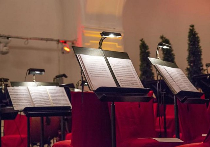 Bootsfahrt auf der Donau, romantisches Abendessen und Konzert im Schloss Schönbrunn